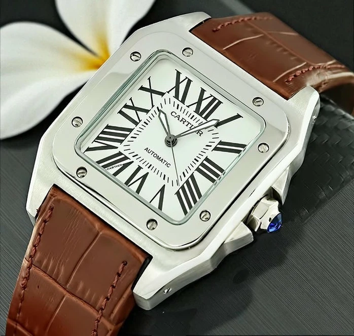 Cartier Santos 100 Watch 2 Pakistan 1765831106 3e5466b8
