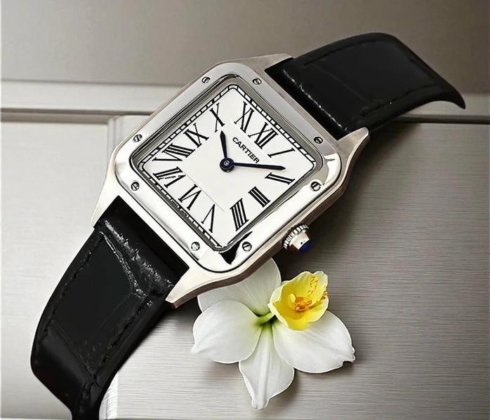 Cartier Santos De Cartier Ladies Watch Pakistan 1765831110 E9c26579