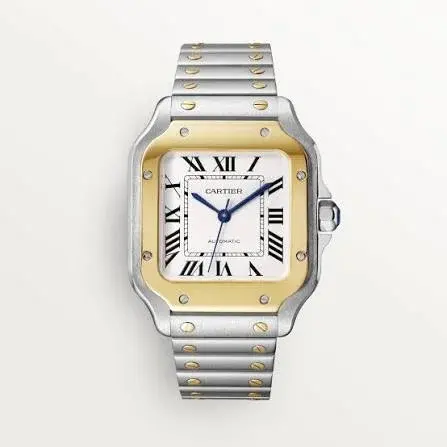 Cartier Santos De Cartier Watch