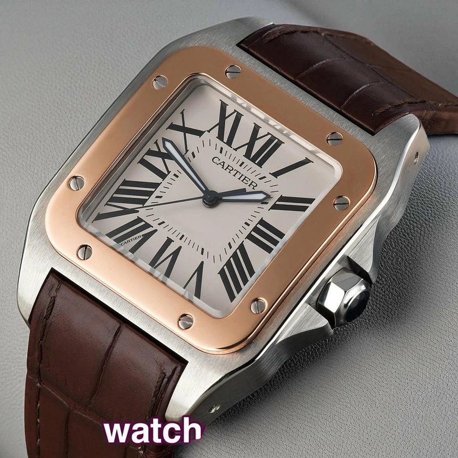 Cartier Santos Gold Steel Special Edition Watch Pakistan