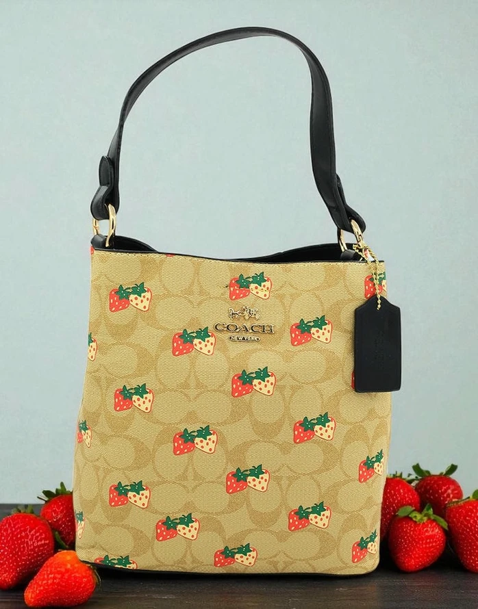 Coach Buy Ladies Leather Handbag 529 Pakistan 1765831281 3c7981dd