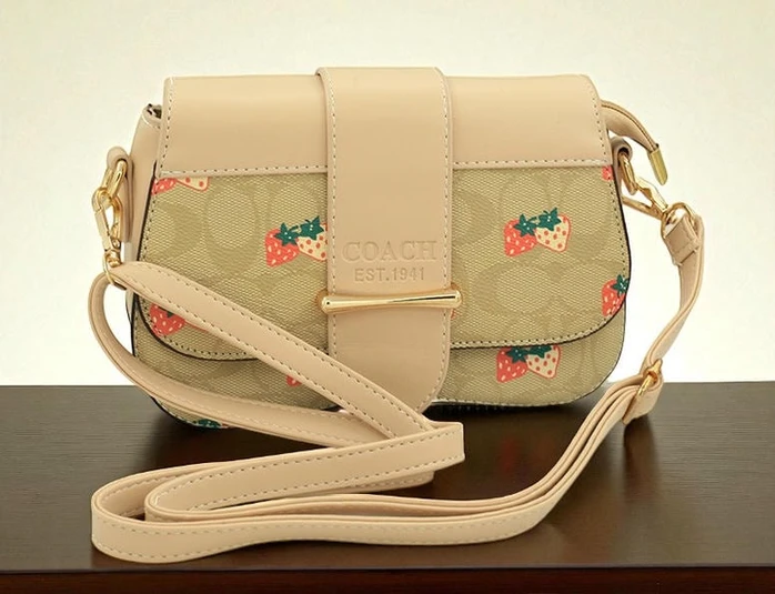 Coach Handbag On Sale533 Pakistan 1765831282 24434da4