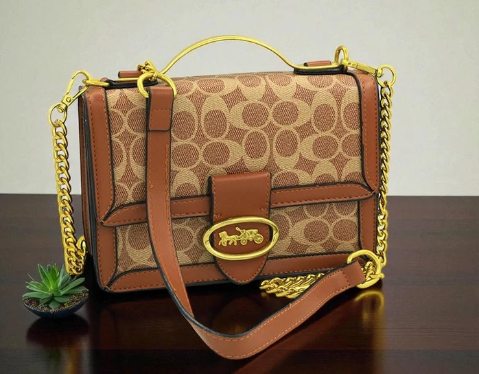 Coach Womens Purse543 Pakistan 1765831284 081934fa