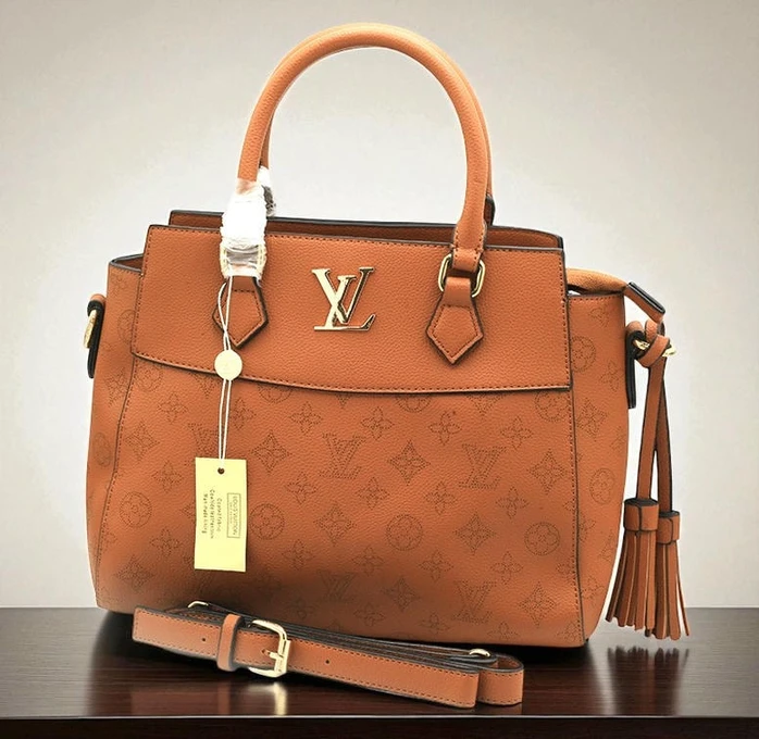 Louis Vuitton Designer Handbag345 Pakistan