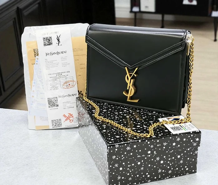 Saint Laurent Ladies Handbag39 Pakistan