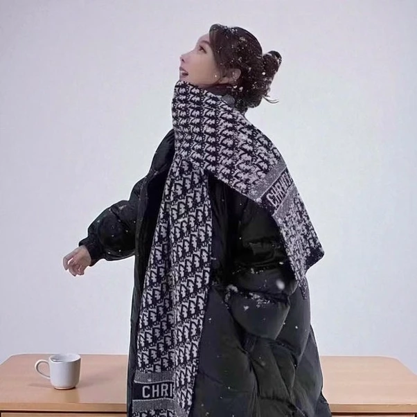 Dior Cashmere Scarf Price Pakistan 1765831736 D0018dfc