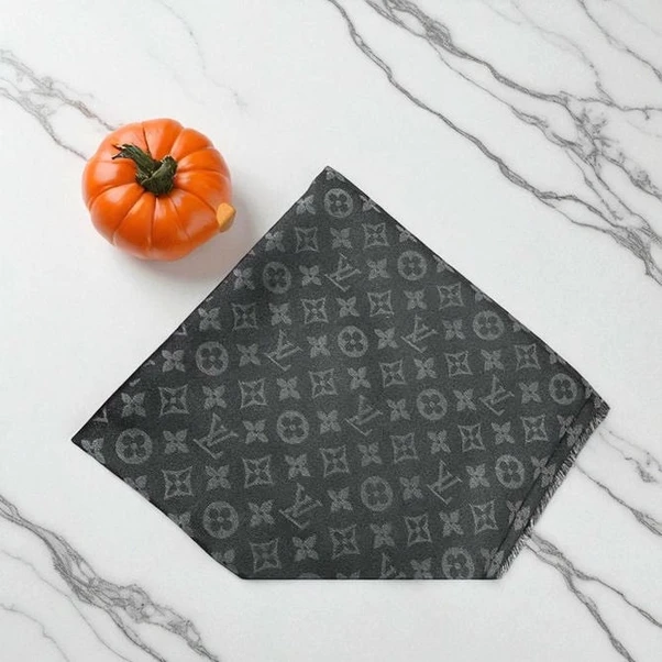 Louis Vuitton Women Cashmere Scarf 92 834 Pakistan