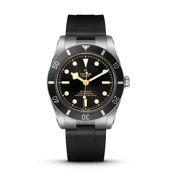 Tudor Black Bay 54 Watches