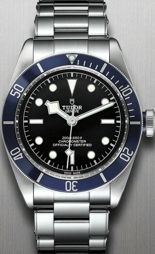 Tudor Heritage Watch748 Pakistan 1765832575 547881f6